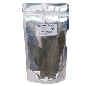 Nature boys mango leaves