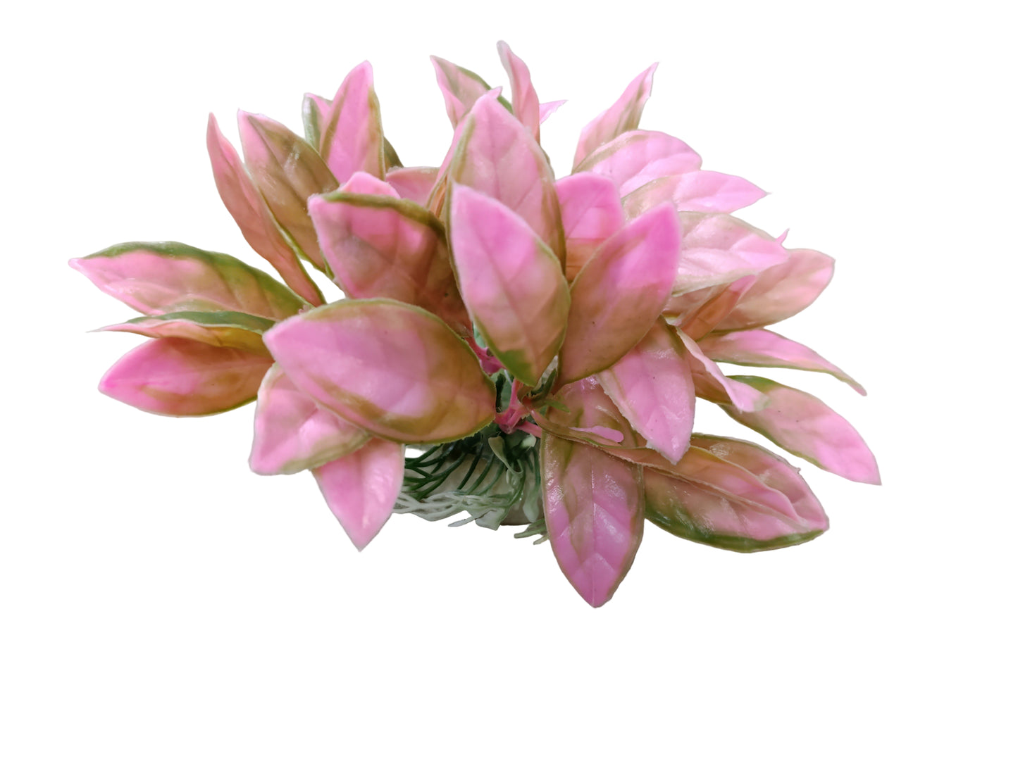 Fish tank ornament 3