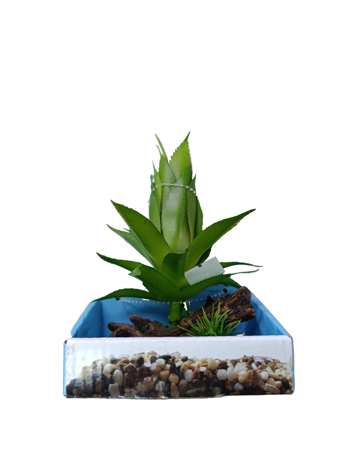 Akwa plant ornament 3