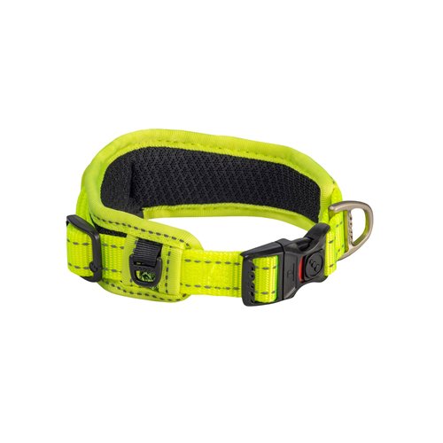 Classic collar padded dayglo XL