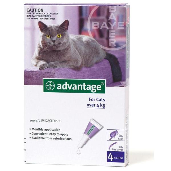 Bayer advantage flea spot-on medication 4kg+