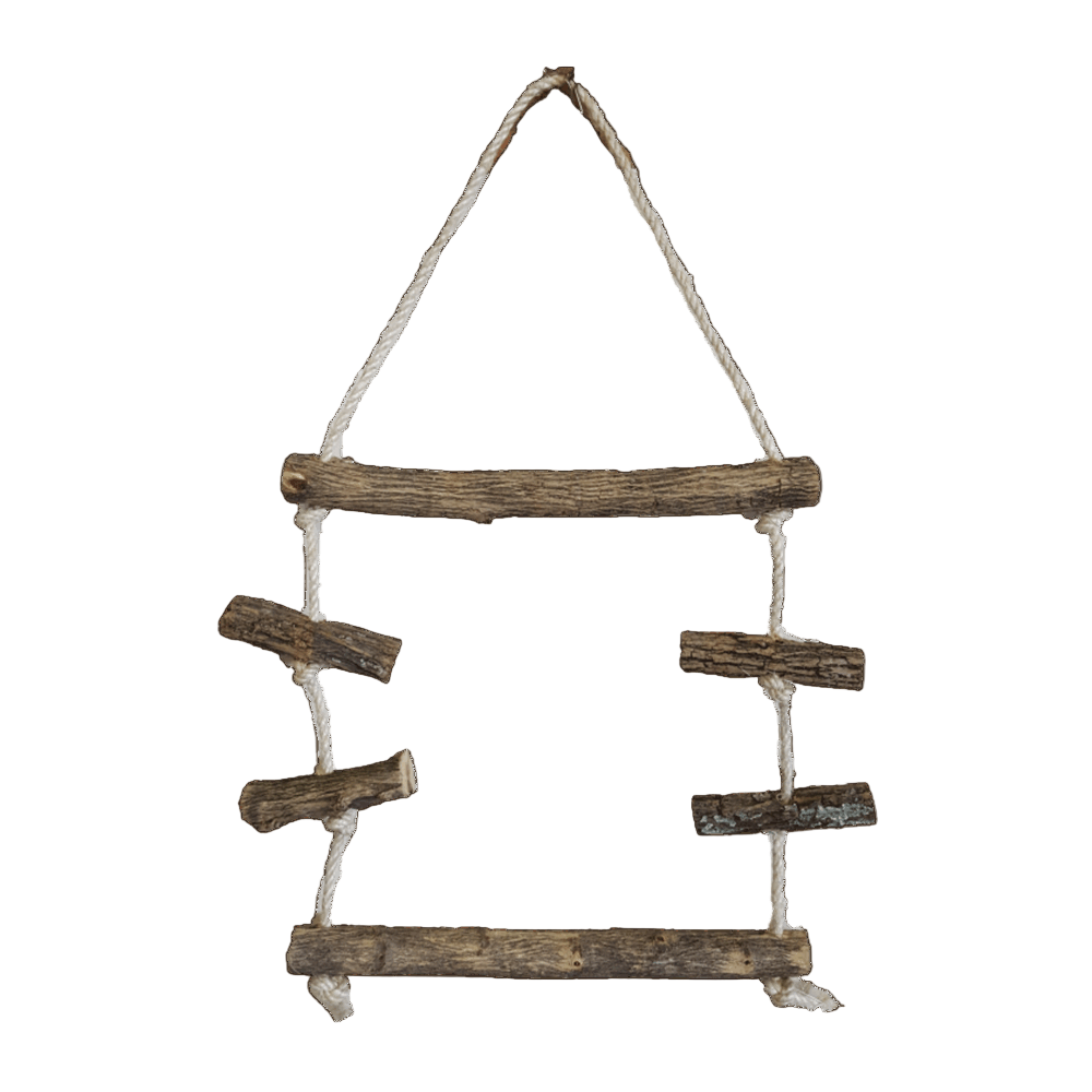 Akwa bird toy BS3077