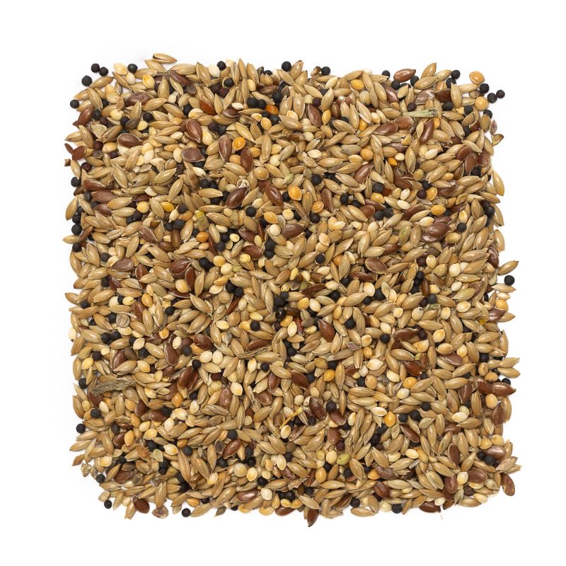 Mixed canary 1kg