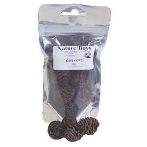 Nature boys cape cones 8pc