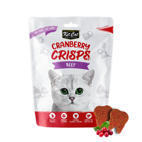 Kit cat cranberry crisps 60g