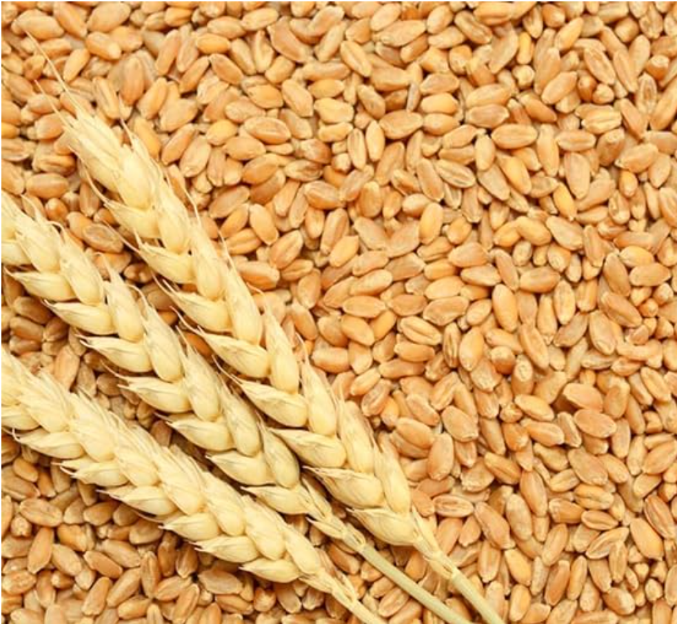 Commix wheat 2kg