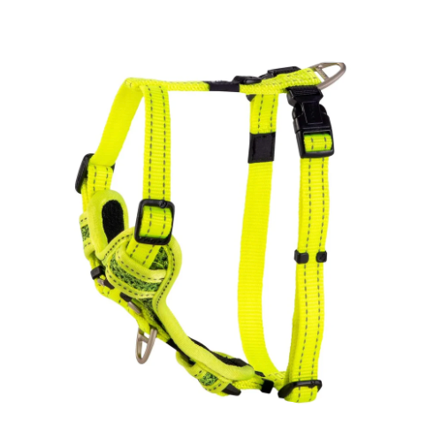 Rogz Explore Harness Dayglo M