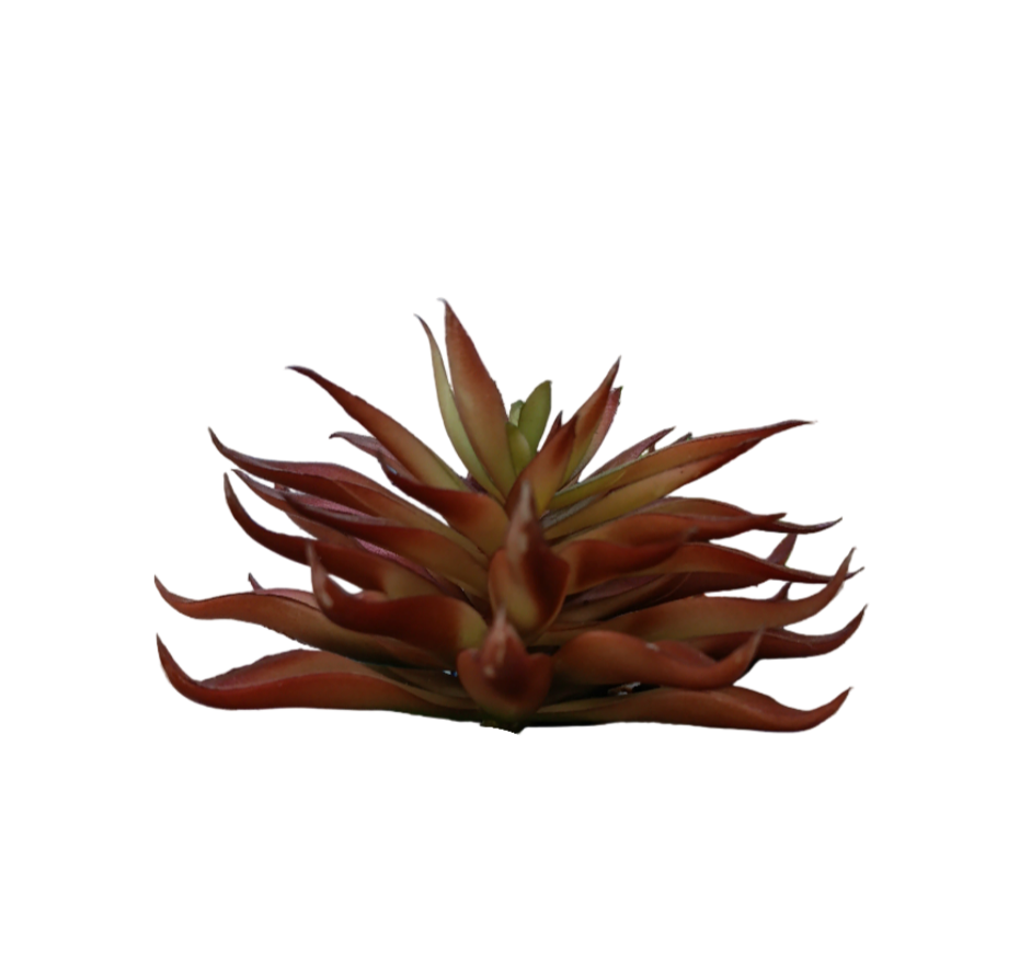 Akwa plant ornament 1