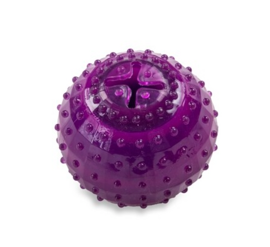 dogs life ice ball purple