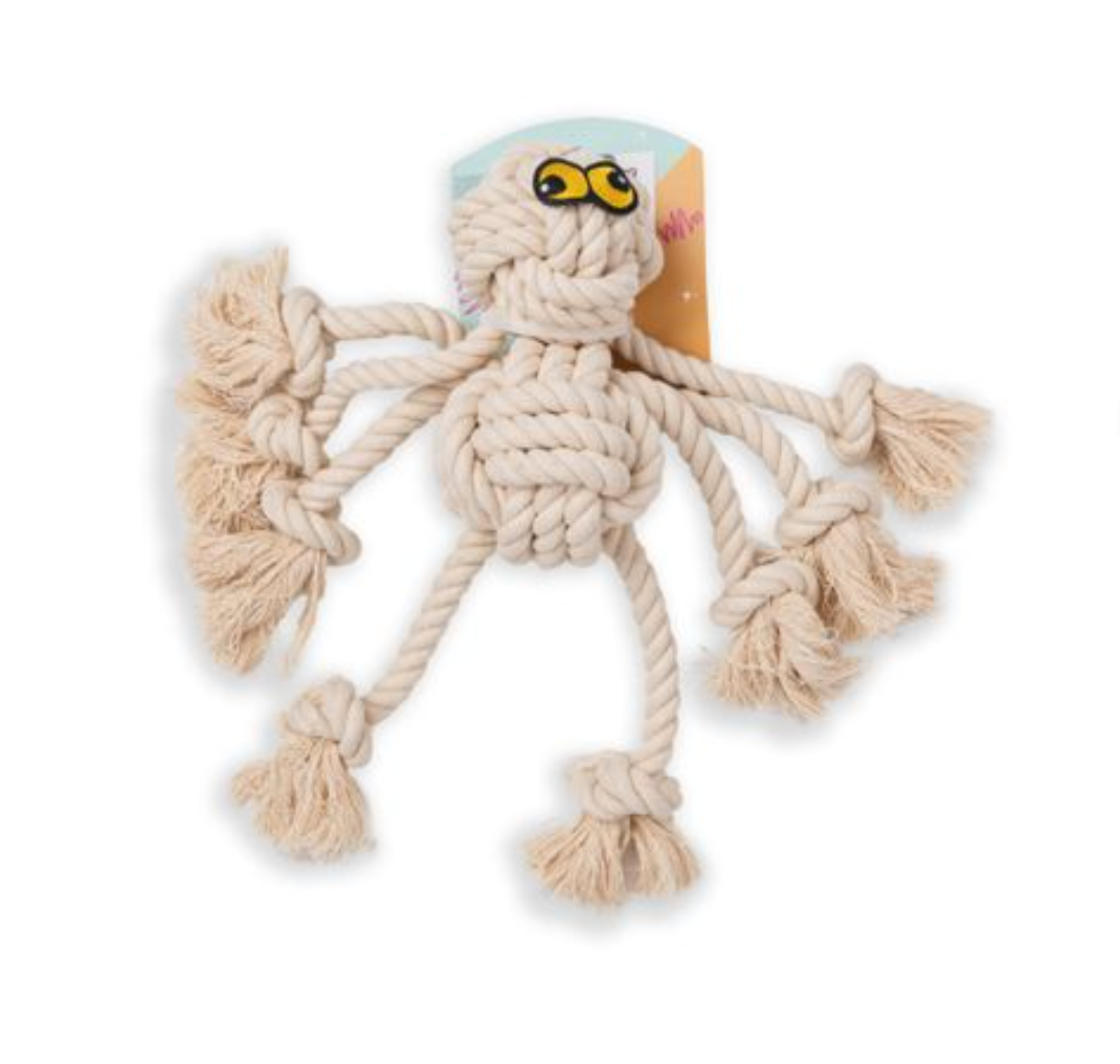 Dogs life rope spider