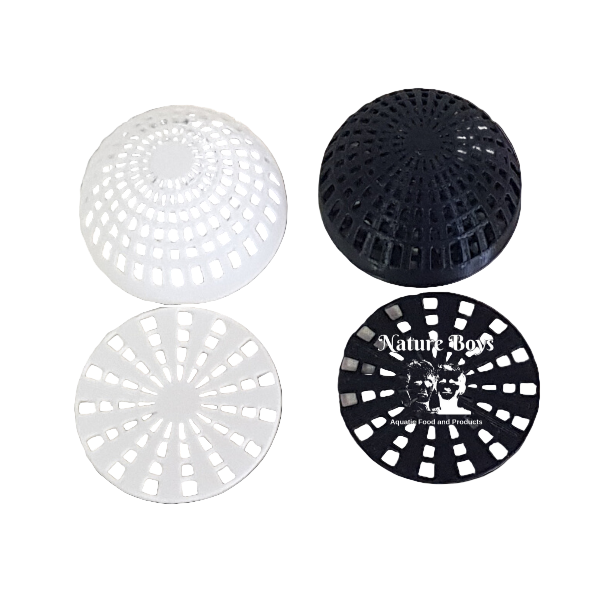 nature boys moss dome