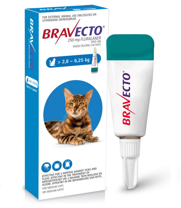 Bravecto Medium Cat 2.8-6.25kg Spot On Tick & Flea
