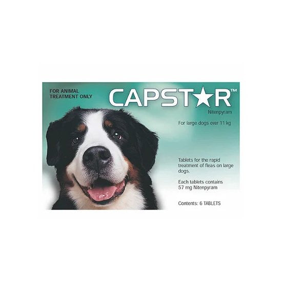 Capstar Lrg dog