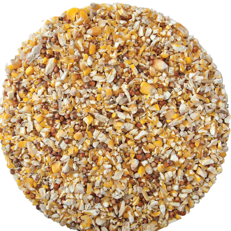 garden bird mix 10kg