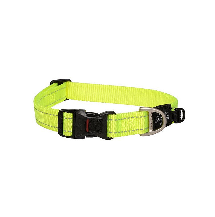 Rogz Classic Collar Dayglo L
