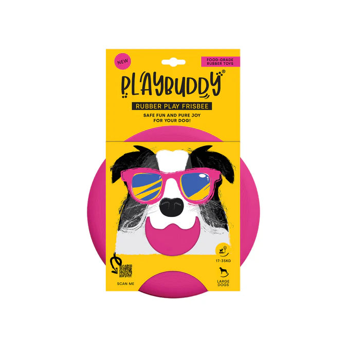 Playbuddy frisbee
