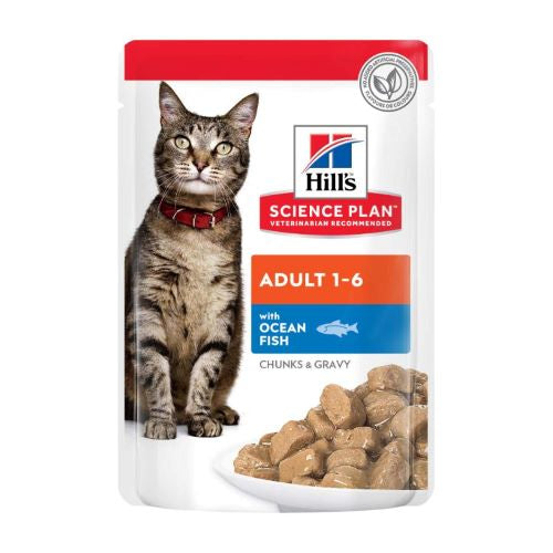 Hills science plan cat ocean fish 85g