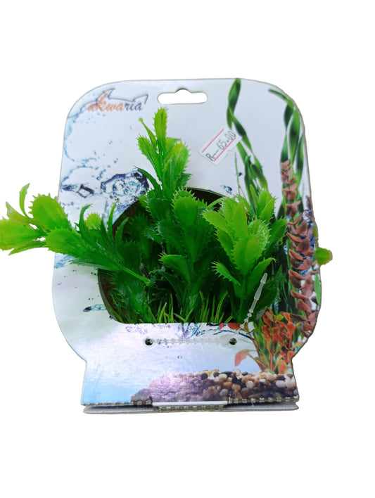 Akwa plastic plant pp7601