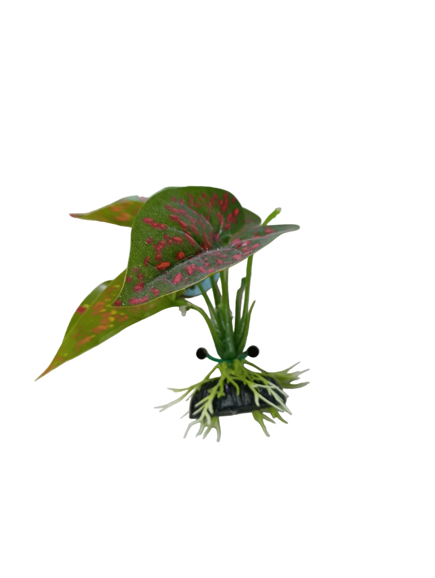 Daro aquarium plant 1