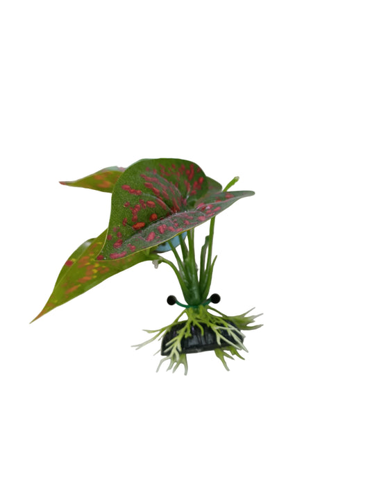 Daro aquarium plant 1