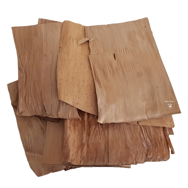 Nature boys banana leaves