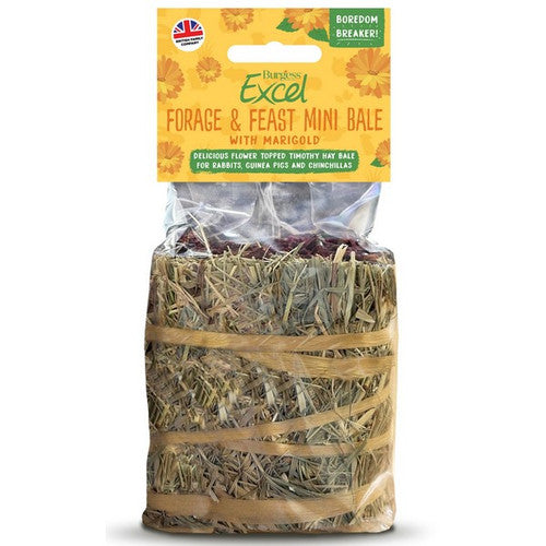 Burgess forage and feast mini bale marigold