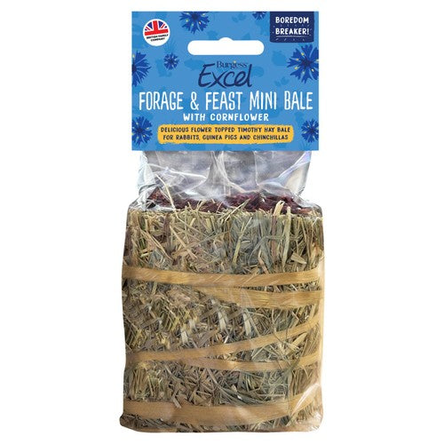 Burgess forage and feast mini bale corn