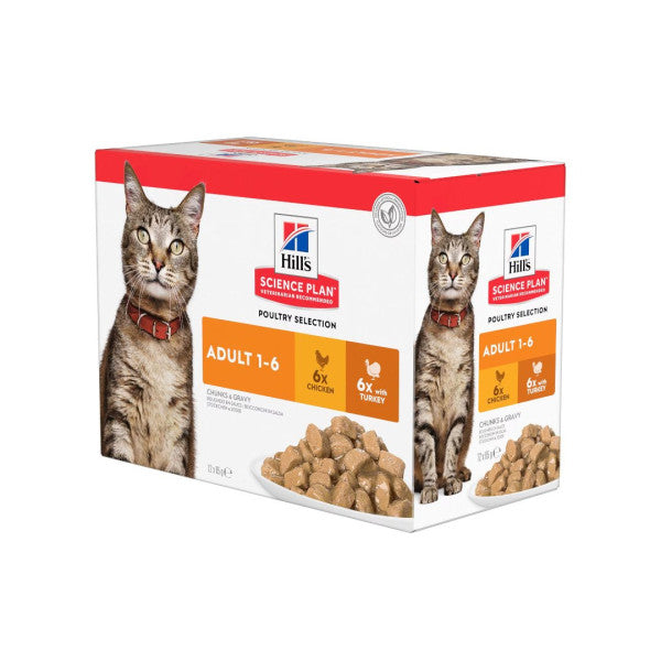 Hills science plan wet cat food turkey and chicken adult 12x85g