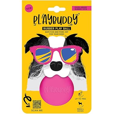 Playbuddy ball