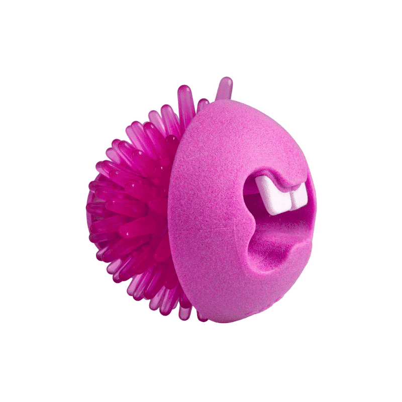 Rogz Fred Treat Ball pink Medium
