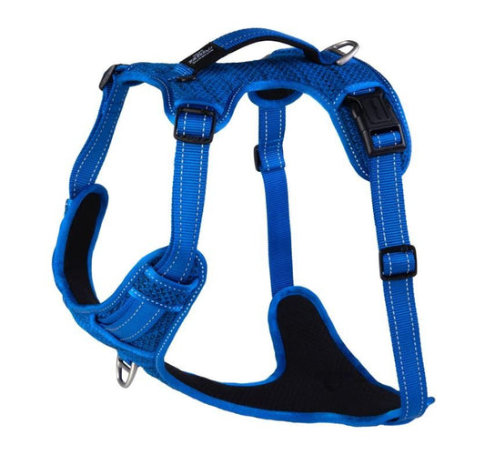 Rogz Explore Harness Blue XL