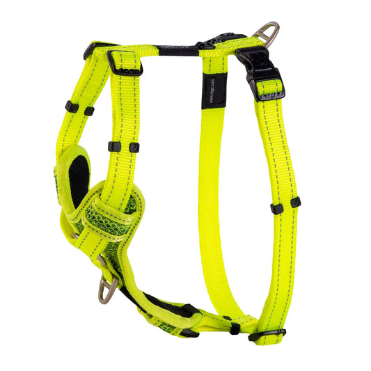 Rogz control harness dayglo XL