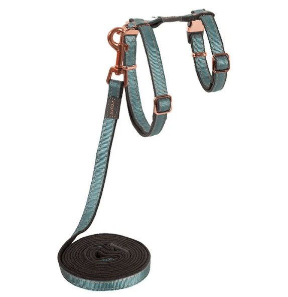 Rogz cat harness small turquioise moon