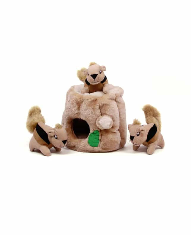 Toy Hide-a-Squirrel-Med Outward Hound