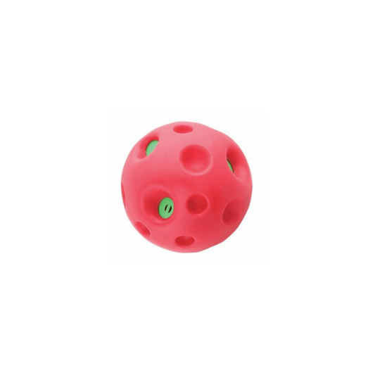 Pawise giggle ball XL
