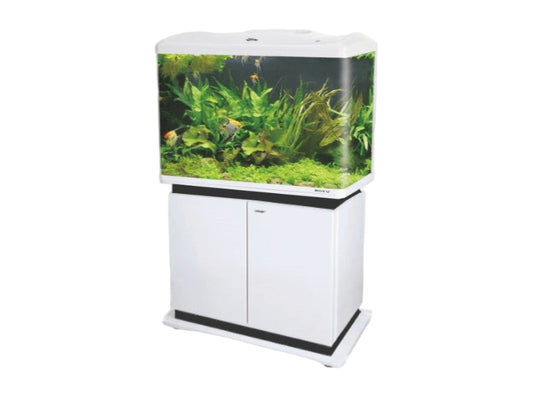 Boyu EC600 white 600Lx300Wx500H