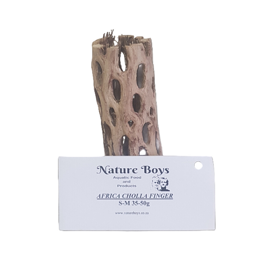 Nature boys cholla fingers 50-65g