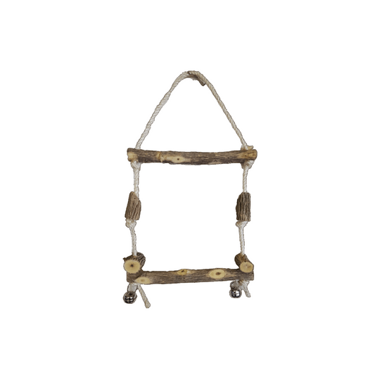 Akwa bird toy BS3076