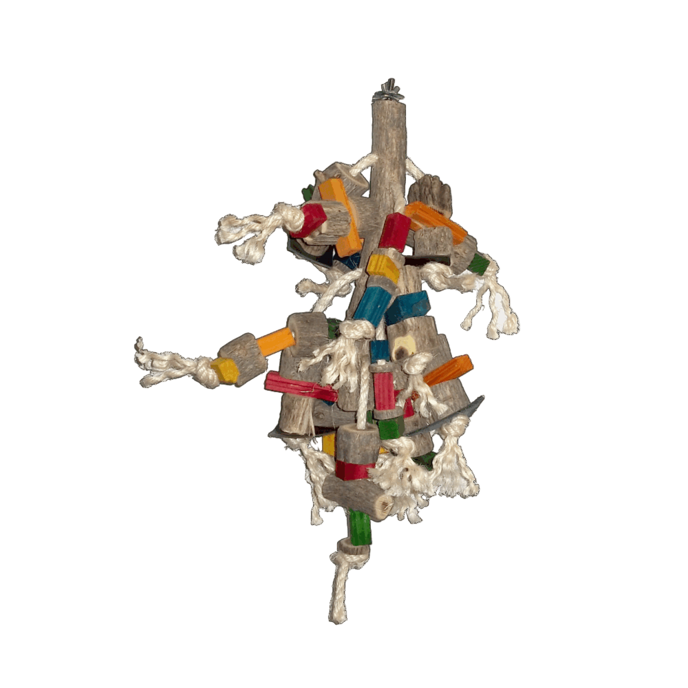 Akwa bird toy BT2998