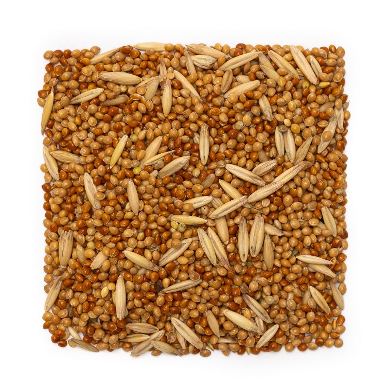 Budgie seeds 1kg