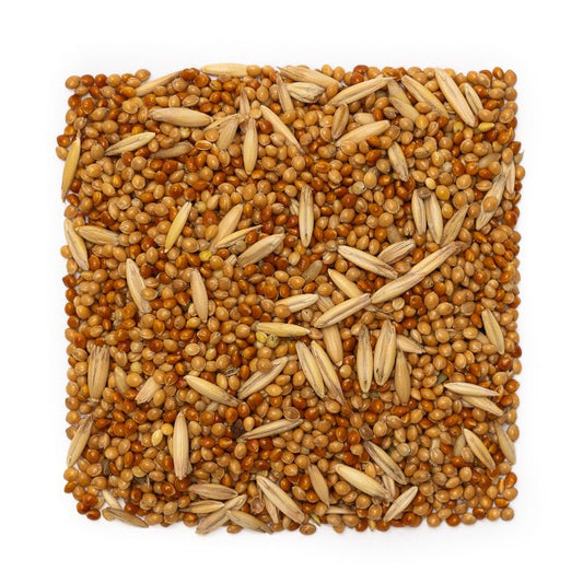 Budgie seeds 2kg