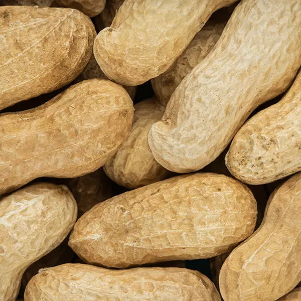 Commix un-shelled peanuts 1kg