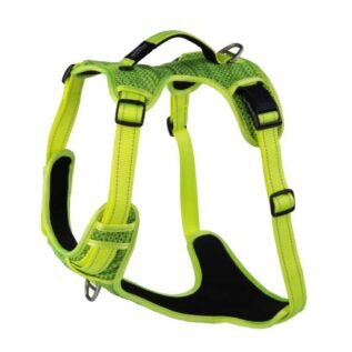 Rogz Explore Harness Dayglo XL