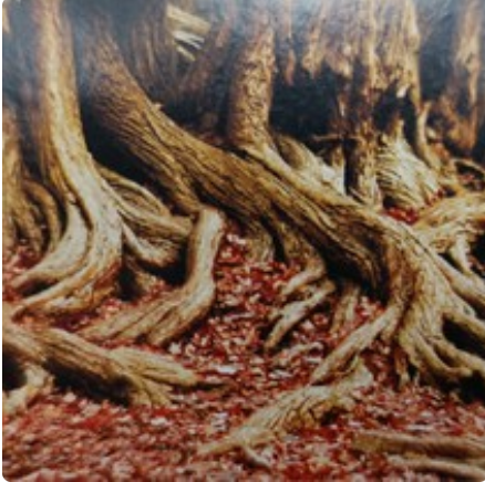 30cm double sided 8009/8010 (15m long)