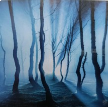 30cm double sided 8019/8020 (15m long)