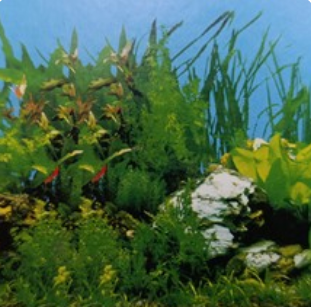 30cm double sided 9003/9028 white (15m long)