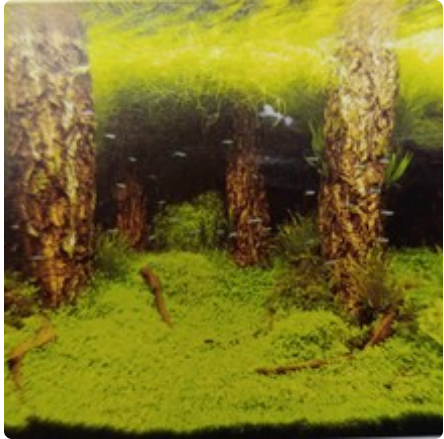 30cm double sided 9086/9087 (15m long)