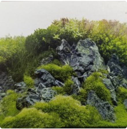 30cm double sided 9086/9087 (15m long)