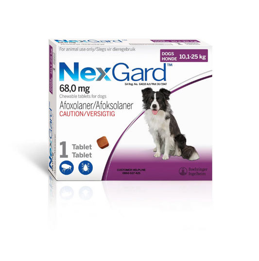 NexGard Large Dog 10-25kg Chewable Tick & Flea Tablet single