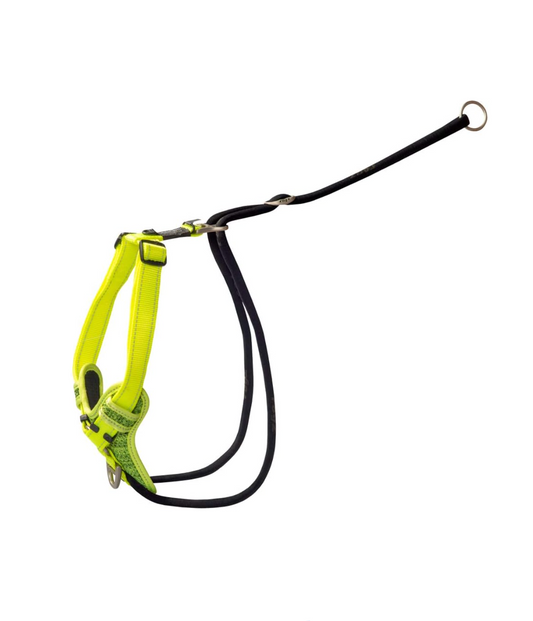 Rogz stop pull harness dayglo med